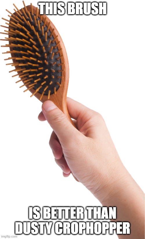 Hand hair brush | THIS BRUSH; IS BETTER THAN DUSTY CROPHOPPER | image tagged in hand hair brush | made w/ Imgflip meme maker