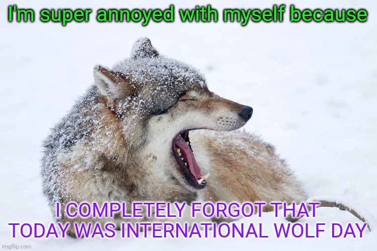 HOW DID I FORGET IT'S LITERALLY MY FAVORITE ANIMAL AAAAAAAAAAAAAAAAAAAAAAAAAAAAAAAAAAAAAAAAAAAAAAAAAAAAAAAAAAAAAAAAAAAAAAAAAAAAA | I'm super annoyed with myself because; I COMPLETELY FORGOT THAT TODAY WAS INTERNATIONAL WOLF DAY | image tagged in yawning wolf | made w/ Imgflip meme maker