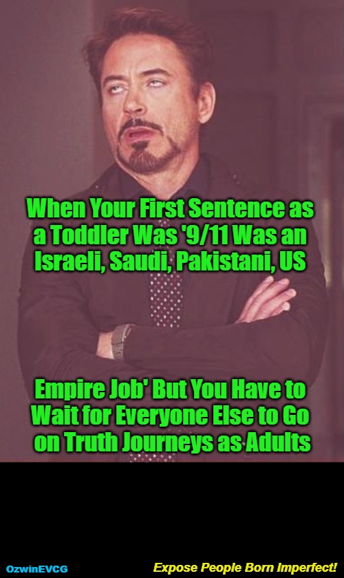 Expose People Born Imperfect! | When Your First Sentence as 

a Toddler Was '9/11 Was an 

Israeli, Saudi, Pakistani, US; Empire Job' But You Have to 

Wait for Everyone Else to Go 

on Truth Journeys as Adults; Expose People Born Imperfect! OzwinEVCG | image tagged in face you make,political humor,robert downey jr,seeking,finding,learning | made w/ Imgflip meme maker