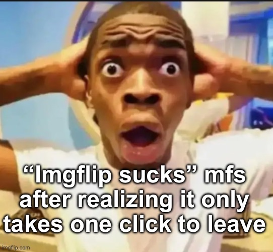 People like you, yes you, are so annoying. Stop posting and just leave | “Imgflip sucks” mfs after realizing it only takes one click to leave | image tagged in surprised black guy | made w/ Imgflip meme maker