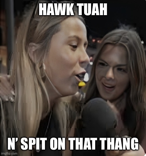 HawktuahHB | HAWK TUAH; N’ SPIT ON THAT THANG | image tagged in hawk tuah | made w/ Imgflip meme maker