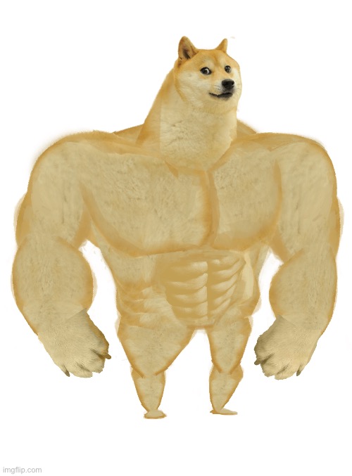 image tagged in swole doge | made w/ Imgflip meme maker