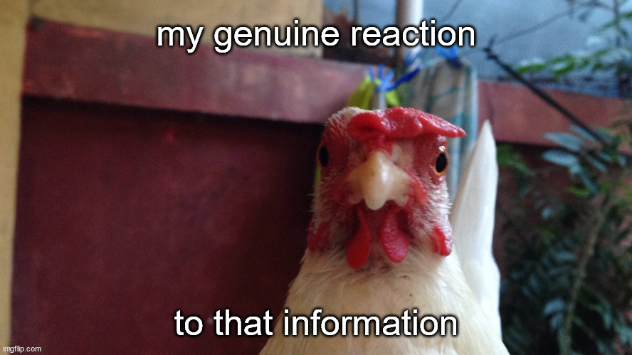 my genuine reaction; to that information | made w/ Imgflip meme maker