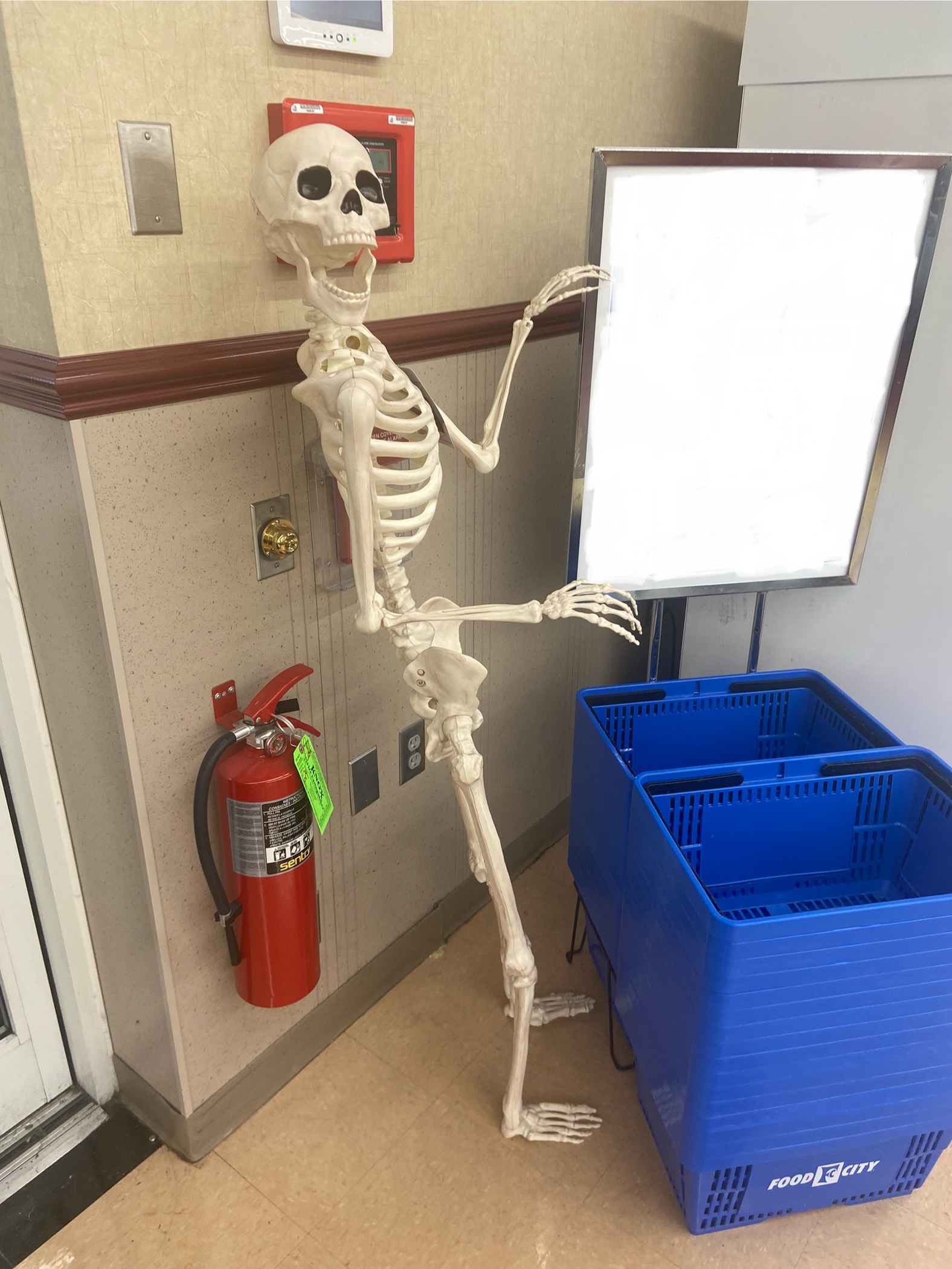 Skeleton Poster Board Blank Meme Template