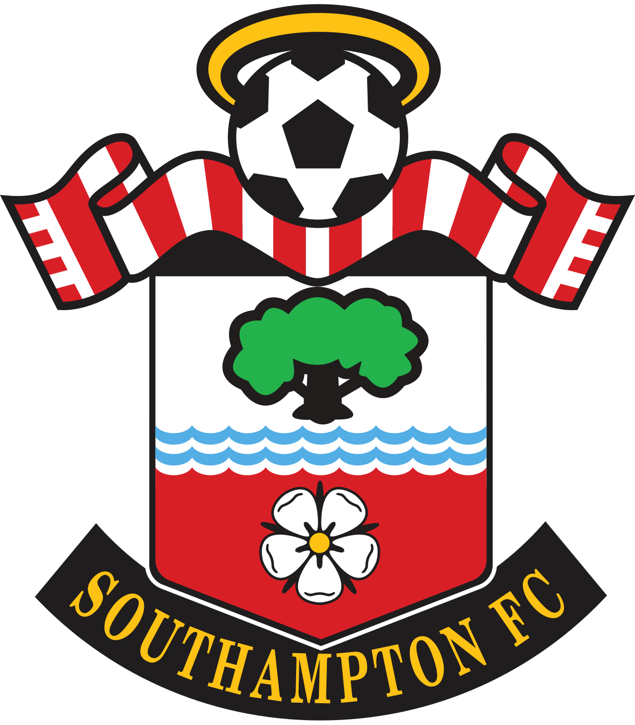 High Quality Southampton Blank Meme Template