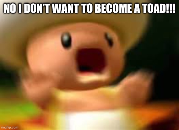 Toad Screaming Meme | NO I DON’T WANT TO BECOME A TOAD!!! | image tagged in toad screaming meme | made w/ Imgflip meme maker