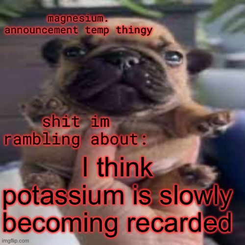 or loosing his mind | I think potassium is slowly becoming recarded | image tagged in pug temp | made w/ Imgflip meme maker