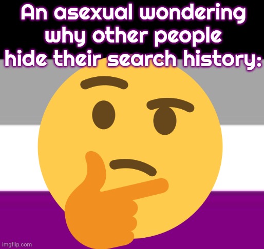 What are they worried about? | An asexual wondering why other people hide their search history: | image tagged in asexual flag,question,wondering,mysteries that cannot be solved yet | made w/ Imgflip meme maker