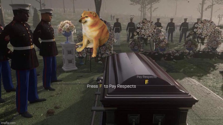 Press F to pay Respects The Cheems | image tagged in press f to pay respects,cheems,memes,funny | made w/ Imgflip meme maker