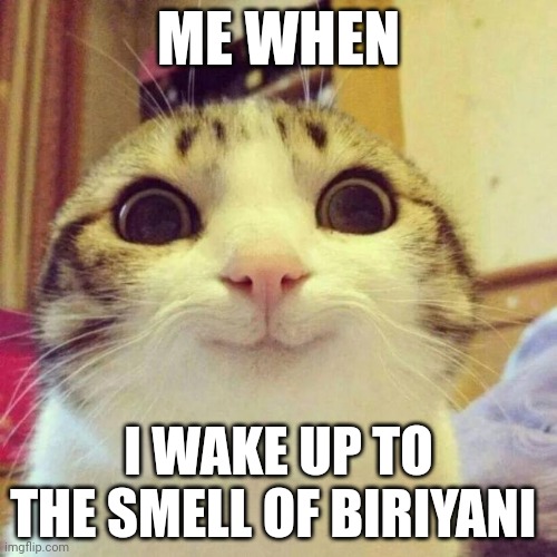 Smiling Cat | ME WHEN; I WAKE UP TO THE SMELL OF BIRIYANI | image tagged in memes,smiling cat | made w/ Imgflip meme maker