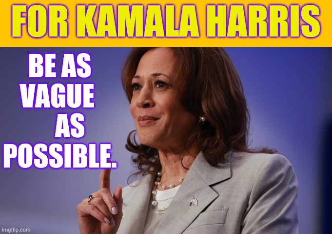 Another Campaign Strategy | FOR KAMALA HARRIS; BE AS VAGUE      AS POSSIBLE. | image tagged in memes,politics,kamala harris,strategy,you don't say,too much | made w/ Imgflip meme maker