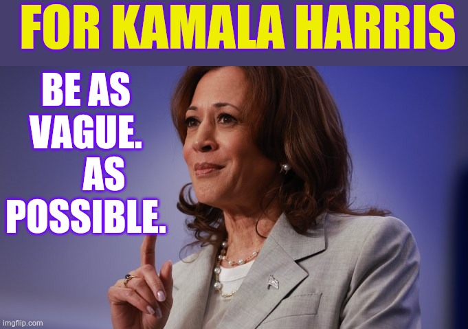 More Campaign Strategies | FOR KAMALA HARRIS; BE AS VAGUE.      AS POSSIBLE. | image tagged in memes,kamala harris,campaign,be,vague | made w/ Imgflip meme maker