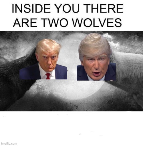 Inside you there are two wolves | image tagged in inside you there are two wolves | made w/ Imgflip meme maker