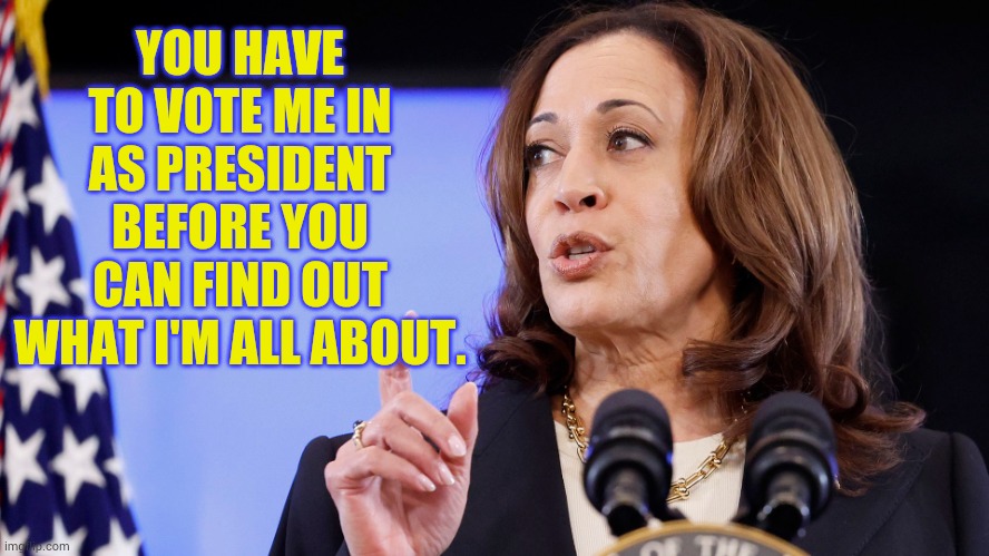 Isn't It How It Seems? | YOU HAVE TO VOTE ME IN AS PRESIDENT BEFORE YOU CAN FIND OUT WHAT I'M ALL ABOUT. | image tagged in memes,kamala harris,vote,is for me,well well well then lets find out,what i'm about | made w/ Imgflip meme maker