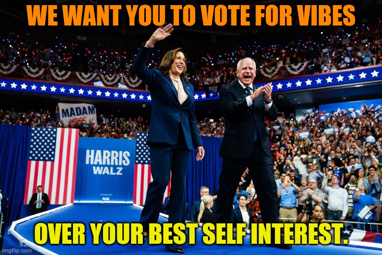 The Harris Walz Ticket | WE WANT YOU TO VOTE FOR VIBES; OVER YOUR BEST SELF INTEREST. | image tagged in memes,kamala harris,vote,vibes,over,self interest | made w/ Imgflip meme maker