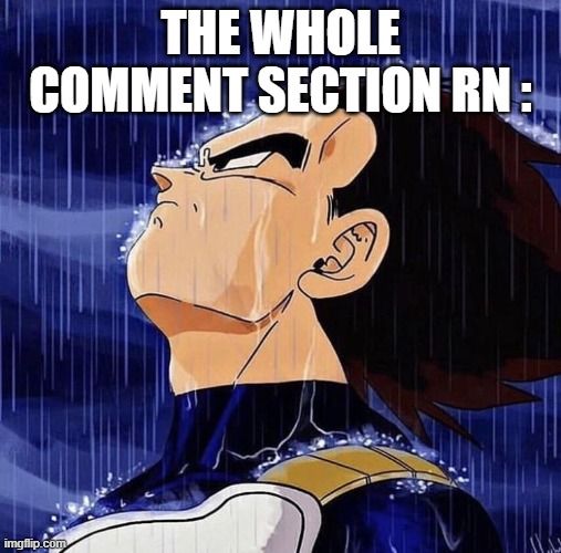 Vegeta in the rain | THE WHOLE COMMENT SECTION RN : | image tagged in vegeta in the rain | made w/ Imgflip meme maker