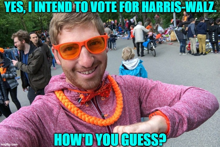 I just got an inkling; that's all. | YES, I INTEND TO VOTE FOR HARRIS-WALZ. HOW'D YOU GUESS? | image tagged in yep | made w/ Imgflip meme maker