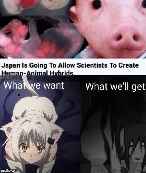 I WILL NEVER FORGIVE THEM | image tagged in memes,anime,why are you reading the tags,why are you reading this | made w/ Imgflip meme maker