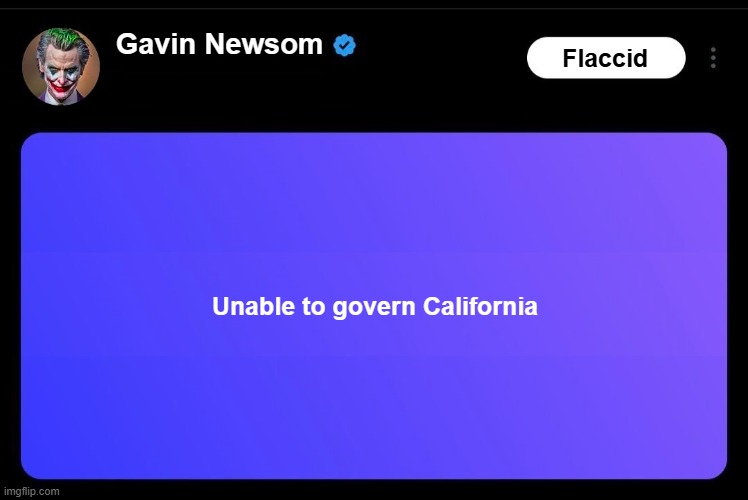 Gavin Newsom (Democrat): Unable to govern California | Flaccid; Gavin Newsom; Unable to govern California | image tagged in california,democrats,democrat,democratic party,governor,gavin | made w/ Imgflip meme maker