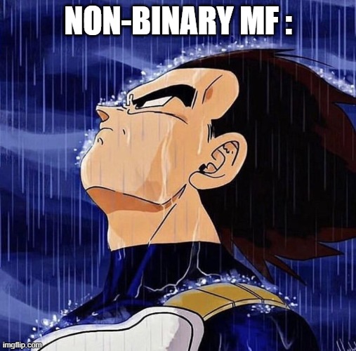 Vegeta in the rain | NON-BINARY MF : | image tagged in vegeta in the rain | made w/ Imgflip meme maker