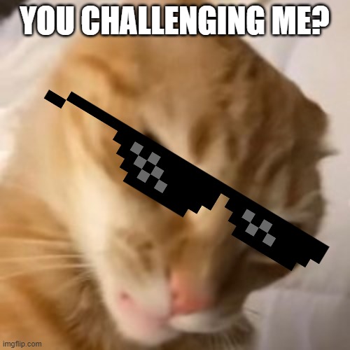 YOU CHALLENGING ME? | made w/ Imgflip meme maker