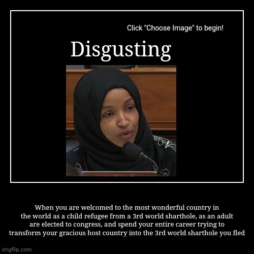 Ilhan omar | Disgusting | When you are welcomed to the most wonderful country in the world as a child refugee from a 3rd world sharthole, as an adult are | image tagged in funny,demotivationals | made w/ Imgflip demotivational maker