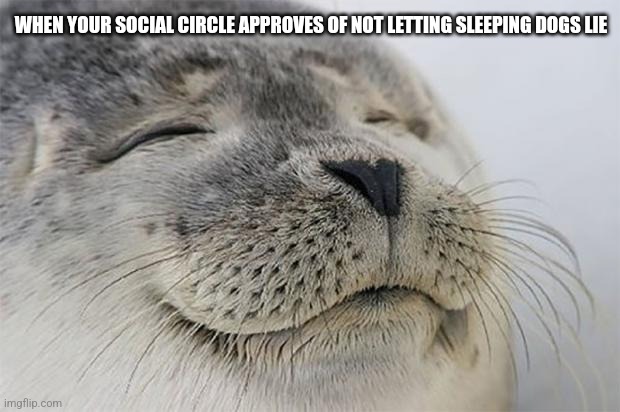 Satisfied Seal | WHEN YOUR SOCIAL CIRCLE APPROVES OF NOT LETTING SLEEPING DOGS LIE | image tagged in memes,satisfied seal | made w/ Imgflip meme maker