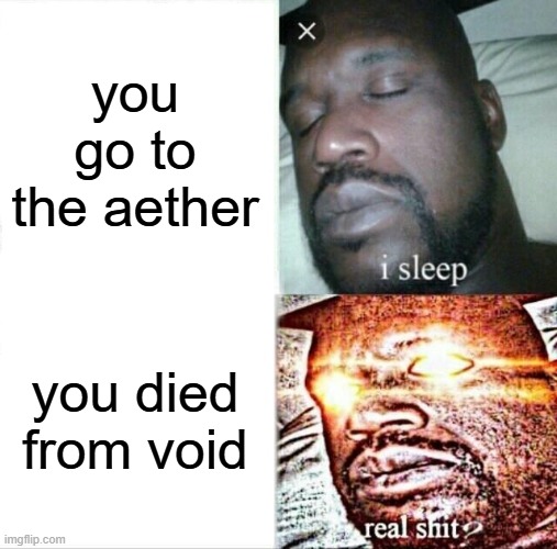 what if you died to the void | you go to the aether; you died from void | image tagged in memes,sleeping shaq,minecraft memes,minecraft | made w/ Imgflip meme maker