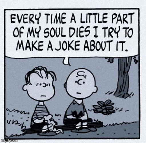 I have never related to a comic more than I do to this | image tagged in msmg,peanuts,insightful | made w/ Imgflip meme maker