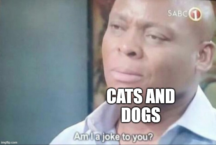 am i a joke to you | CATS AND
DOGS | image tagged in am i a joke to you | made w/ Imgflip meme maker
