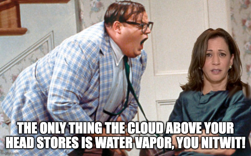 Who's Gonna Put the TECH in TECHnology? | THE ONLY THING THE CLOUD ABOVE YOUR HEAD STORES IS WATER VAPOR, YOU NITWIT! | image tagged in kamala,cloud storage,matt foley | made w/ Imgflip meme maker