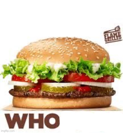 WHOPPER BK | image tagged in whopper bk | made w/ Imgflip meme maker