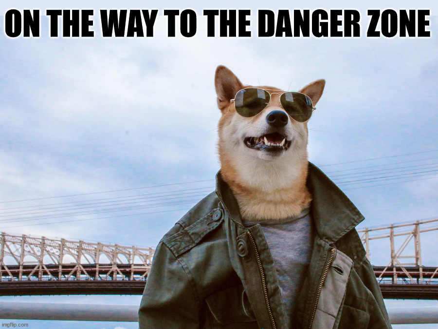 Danger Zone | ON THE WAY TO THE DANGER ZONE | image tagged in dogs | made w/ Imgflip meme maker