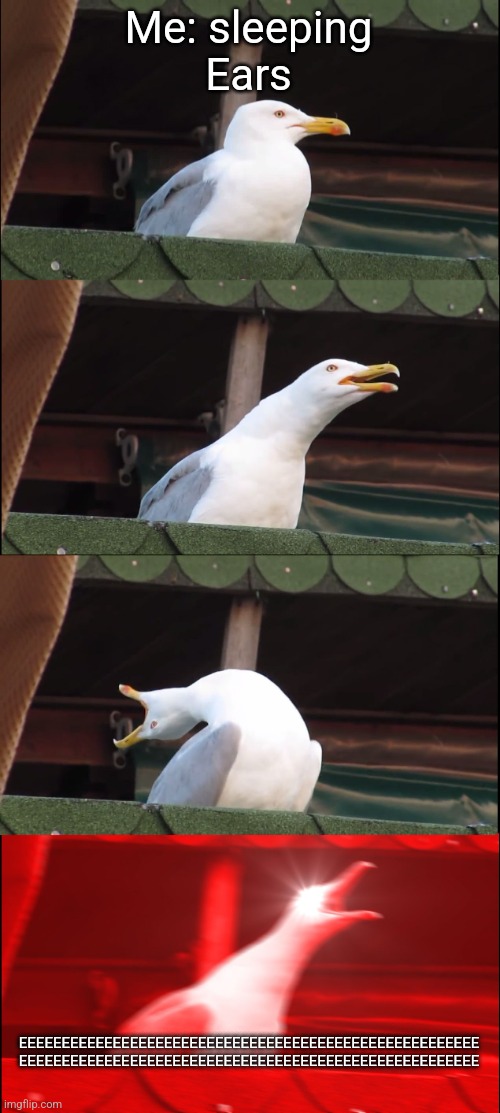 Inhaling Seagull Meme | Me: sleeping
Ears; EEEEEEEEEEEEEEEEEEEEEEEEEEEEEEEEEEEEEEEEEEEEEEEEEEEEEE
EEEEEEEEEEEEEEEEEEEEEEEEEEEEEEEEEEEEEEEEEEEEEEEEEEEEEE | image tagged in memes,inhaling seagull | made w/ Imgflip meme maker