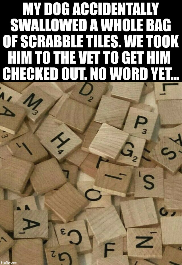 No words | MY DOG ACCIDENTALLY SWALLOWED A WHOLE BAG OF SCRABBLE TILES. WE TOOK HIM TO THE VET TO GET HIM 
CHECKED OUT. NO WORD YET… | image tagged in scrabble pieces | made w/ Imgflip meme maker