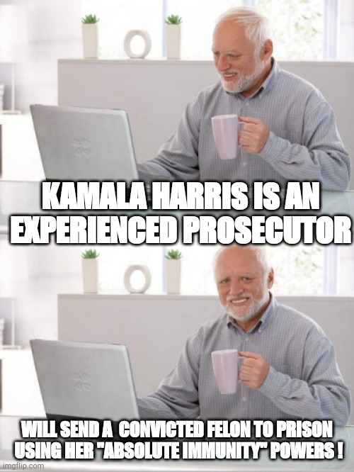 harris | KAMALA HARRIS IS AN EXPERIENCED PROSECUTOR; WILL SEND A  CONVICTED FELON TO PRISON
 USING HER "ABSOLUTE IMMUNITY" POWERS ! | image tagged in old guy pc,felon | made w/ Imgflip meme maker