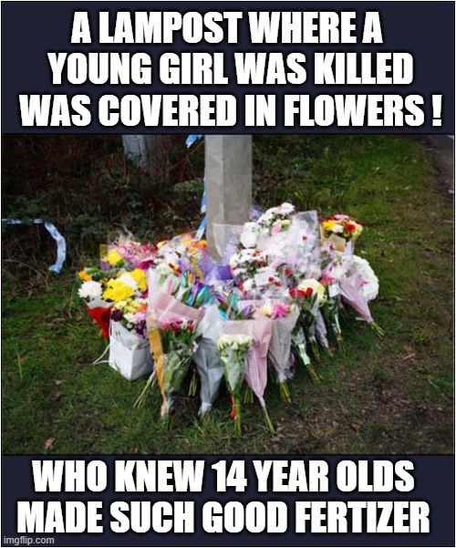 The Local Accident Black Spot Claims Another Victim ! | A LAMPOST WHERE A 
YOUNG GIRL WAS KILLED
WAS COVERED IN FLOWERS ! WHO KNEW 14 YEAR OLDS MADE SUCH GOOD FERTIZER | image tagged in accident,death,flowers,fertilizer,dark humour | made w/ Imgflip meme maker