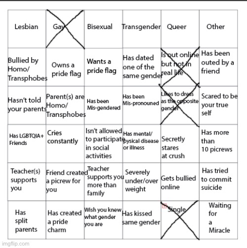 what kind of retarded bingo has six squares and no free space | image tagged in lgbtqia bingo | made w/ Imgflip meme maker