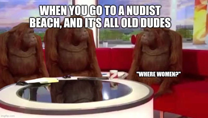 where women | WHEN YOU GO TO A NUDIST BEACH, AND IT'S ALL OLD DUDES; "WHERE WOMEN?" | image tagged in where monkey,where women,nudist | made w/ Imgflip meme maker