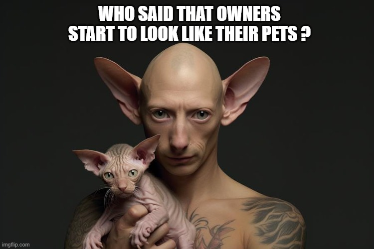 memes by Brad - Who said that owners start to look like their cats? - humor | WHO SAID THAT OWNERS START TO LOOK LIKE THEIR PETS ? | image tagged in funny,cats,cute kittens,funny cat memes,kitten,humor | made w/ Imgflip meme maker