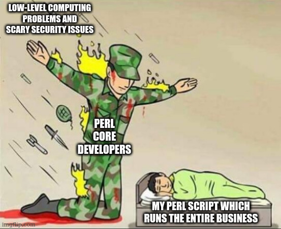 Soldier protecting sleeping child | LOW-LEVEL COMPUTING PROBLEMS AND SCARY SECURITY ISSUES; PERL CORE DEVELOPERS; MY PERL SCRIPT WHICH RUNS THE ENTIRE BUSINESS | image tagged in soldier protecting sleeping child | made w/ Imgflip meme maker