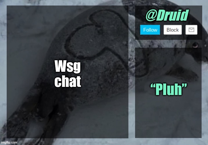 New announcement temp | Wsg chat; “Pluh” | image tagged in new announcement temp | made w/ Imgflip meme maker