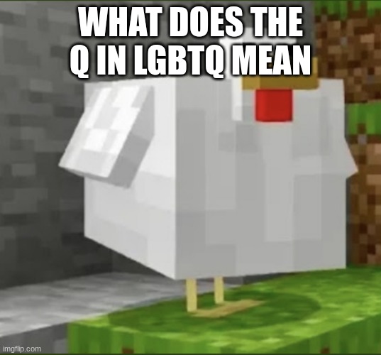 Cursed chicken | WHAT DOES THE Q IN LGBTQ MEAN | image tagged in cursed chicken | made w/ Imgflip meme maker