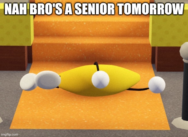 HEEEEEELP | NAH BRO'S A SENIOR TOMORROW | image tagged in he dead | made w/ Imgflip meme maker