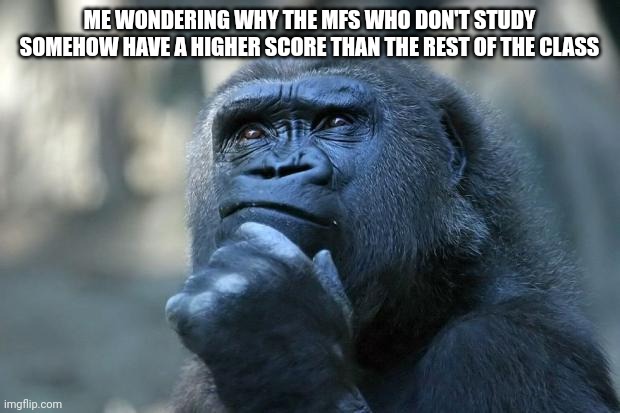 They're the Messiah of our class | ME WONDERING WHY THE MFS WHO DON'T STUDY SOMEHOW HAVE A HIGHER SCORE THAN THE REST OF THE CLASS | image tagged in deep thoughts,memes,middle school,question | made w/ Imgflip meme maker