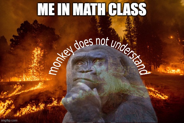 my new template | ME IN MATH CLASS | image tagged in monkey,math,school | made w/ Imgflip meme maker