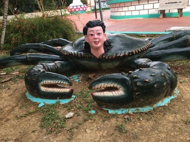 Human conjoined with a lobster | image tagged in memes,cursed image,all | made w/ Imgflip meme maker