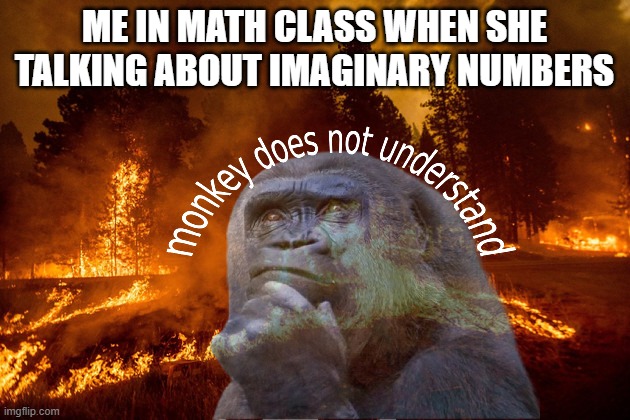 im so monkey | ME IN MATH CLASS WHEN SHE TALKING ABOUT IMAGINARY NUMBERS | image tagged in funny memes,monkey,what am i doing with my life | made w/ Imgflip meme maker