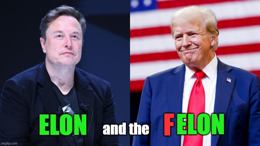 ELON and the FELON | F; and the; ELON; ELON | image tagged in elon musk,donald trump,felon,assholes,fascist traitors | made w/ Imgflip meme maker