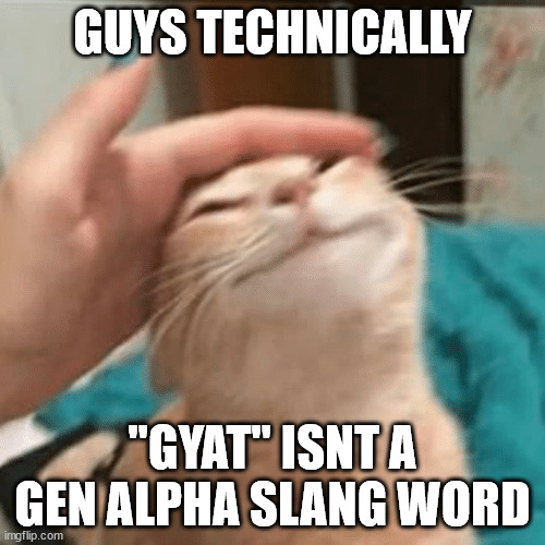 Cat Stroke | GUYS TECHNICALLY; "GYAT" ISNT A GEN ALPHA SLANG WORD | image tagged in cat stroke | made w/ Imgflip meme maker